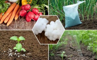 Kivennäislannoite urea - maanviljelijän kolmas käsi