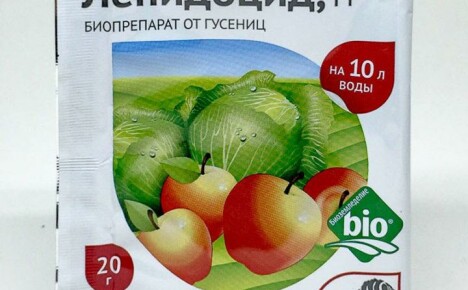 Elävien bakteerien pohjalta luotu lääke Lepidocide (käyttöohjeet)