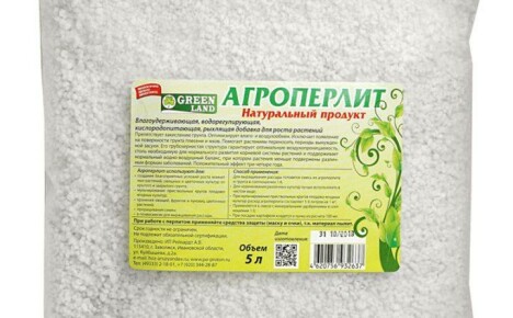 Agroperliitin ainutlaatuiset ominaisuudet ja käyttö puutarhaviljelyssä
