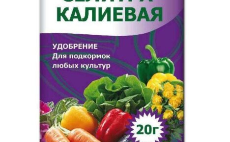 Kaliumnitraatin käyttö puutarhassa ja puutarhassa