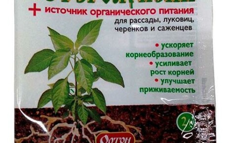 Heteroauxin: ohjeet lääkkeen käytöstä