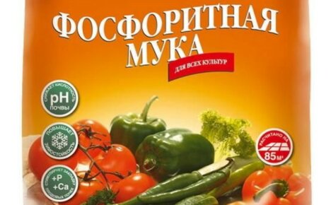 Luonnollinen mineraalilannoite kaikille viljelykasveille - fosfaattikivi, levitys