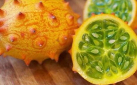 Salaperäinen Kiwano - hedelmä tai vihannes