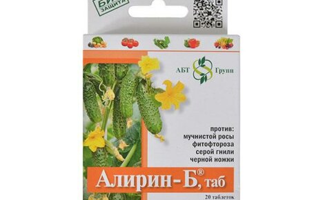 Alirin-B-valmiste: ohjeet sienitautien torjunta-aineelle