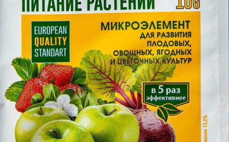 Täydelliset ohjeet rautakelaatin käytöstä puutarhanhoidossa
