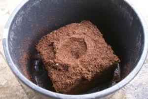 kookospähkinäbriketit