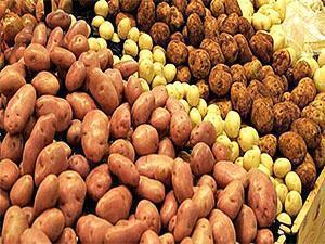Eri lajikkeiden perunat
