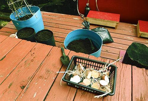 Maaperän ja istutusmateriaalin valmistelu