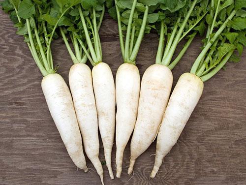 Retiisi Daikon