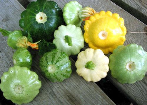 Tällainen erilainen squash pöydällä