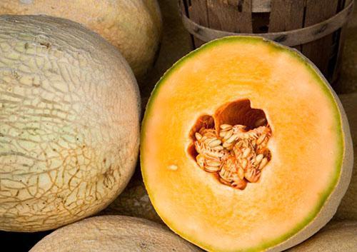 Pakastamiseen valitse makea aromaattinen meloni