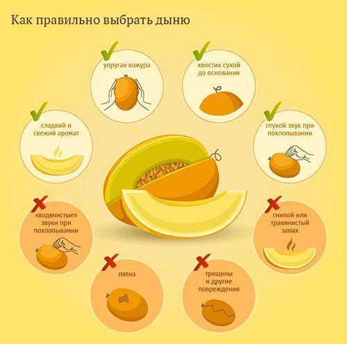 Kuinka valita oikea meloni