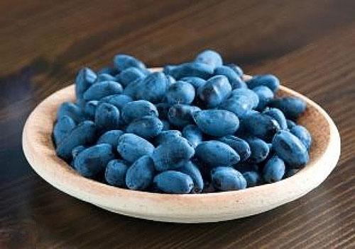 Syötävä kuusama hedelmä