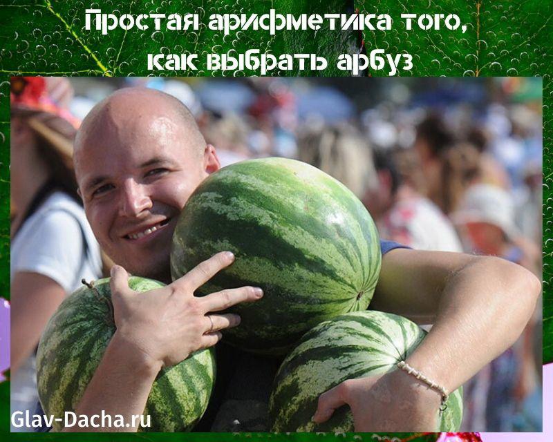 miten valita vesimeloni