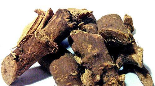 Eleutherococcus-juuret soveltuvat tinktuurien valmistamiseen