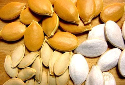 Kurpitsa siemenet sisältävät runsaasti vitamiineja ja mineraaleja