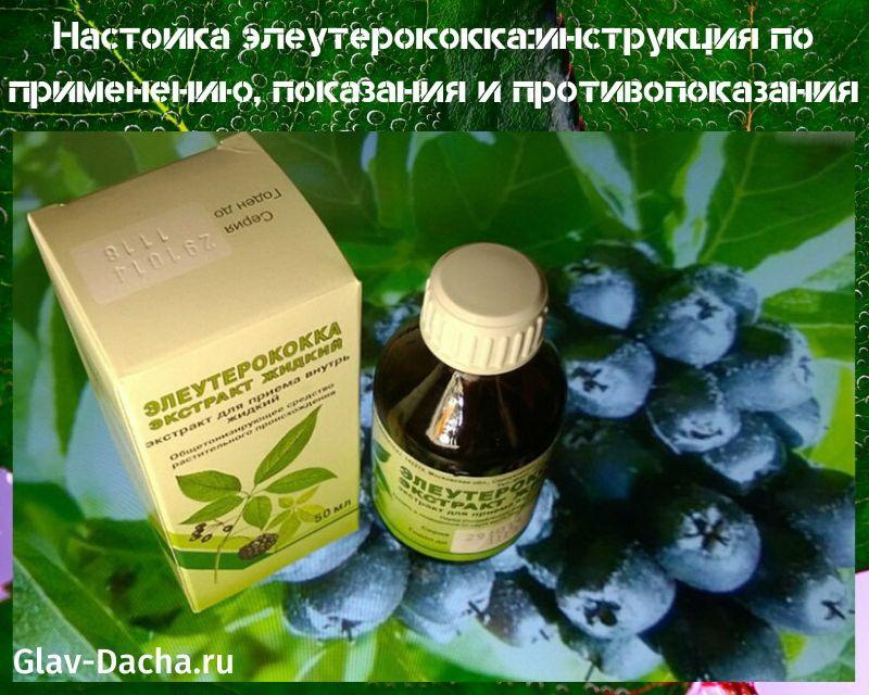 tinktuura eleutherococcus käyttöohjeet