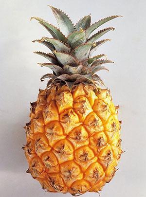 Ananasilla on korkea C-vitamiinipitoisuus