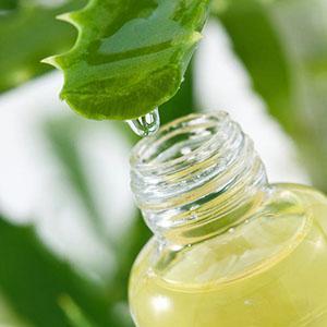 Aloe-mehua käytetään sekä perinteisessä että kansanlääketieteessä