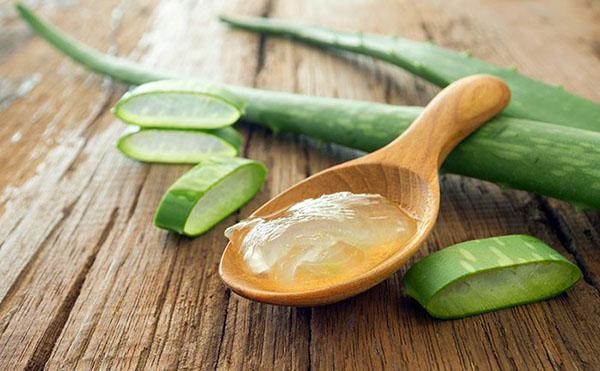 Aloe mehu otetaan sisäisesti ja ulkoisesti