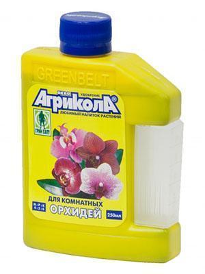 Lannoite sisätilojen orkideoille