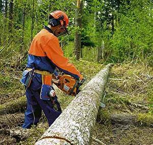 Työhetki moottorisahakumppanin 350 kanssa