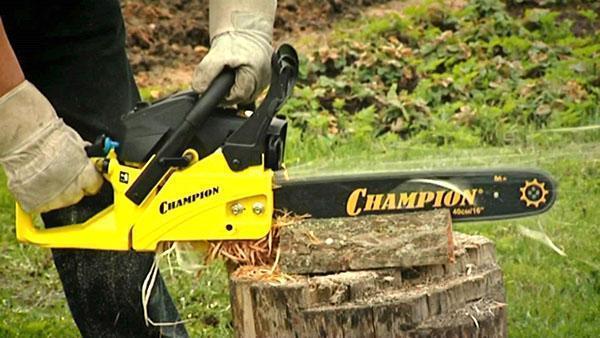 Chainsaw Champion luotettava avustaja kesäasukkaalle