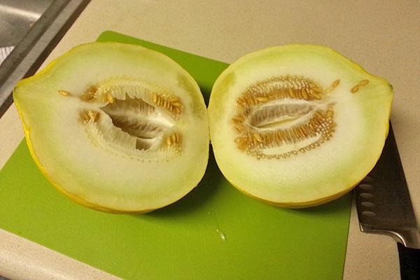 Kesämelonit kassaba