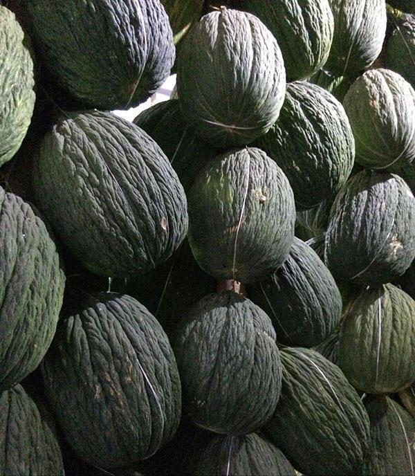 Assan Bayn melonin hedelmät varastossa