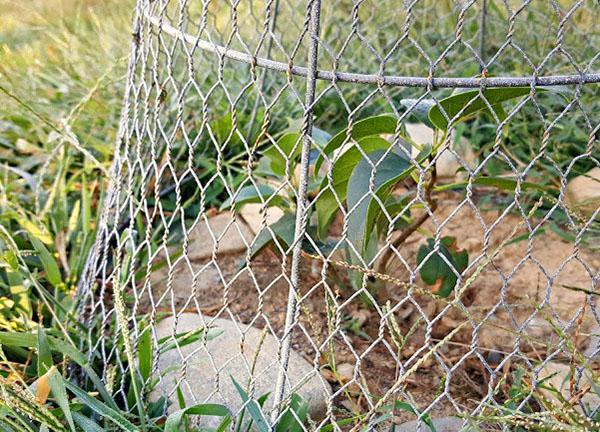 hieno mesh lanka
