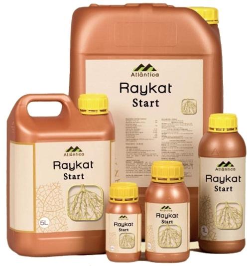 Raykat alkaa