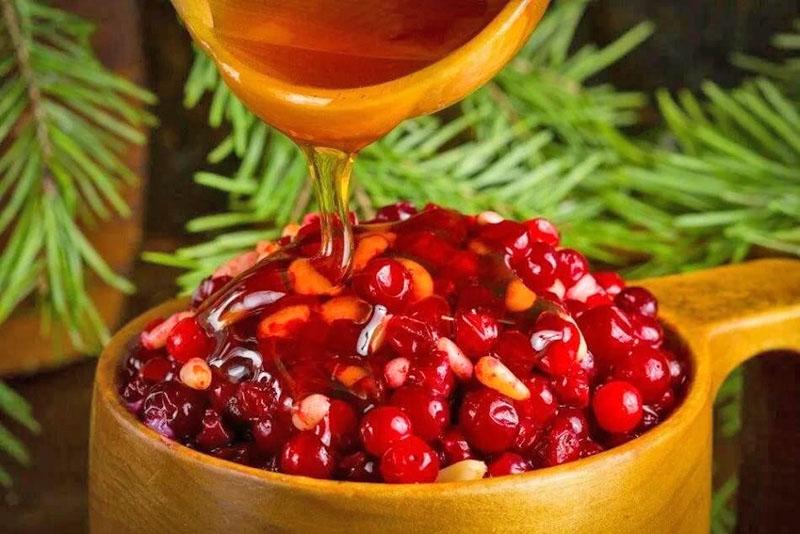 puolukka reseptejä talvella hunajalla