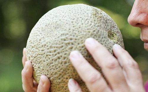 melonin maku