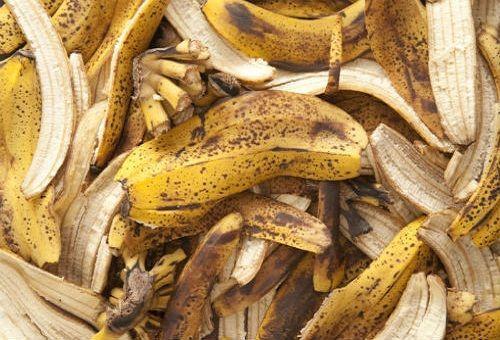 banaaninkuori