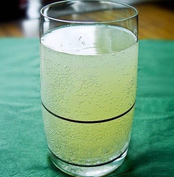 kvass rypäleenlehdistä