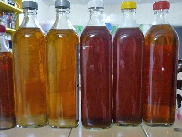 kvass rypäleistä