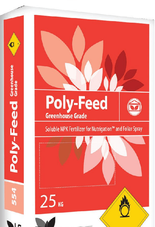polyfidipunainen