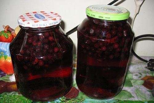 aronia-kompotti