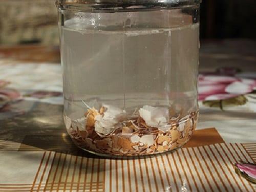 infuusio