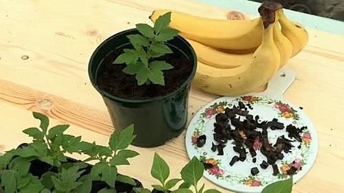 tomaatit ja banaanit