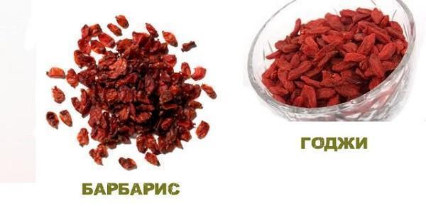 karhunvatukka- ja goji-marjoja