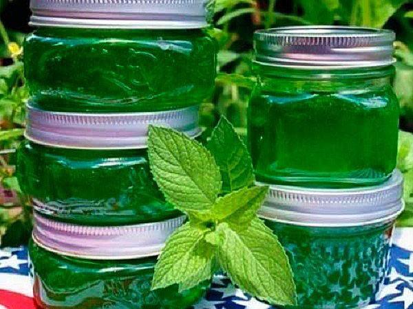 minttuhillo