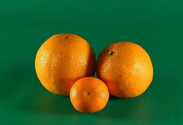 appelsiinit ja mandariinit