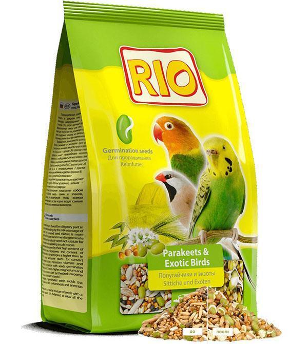ruoka papukaijoille