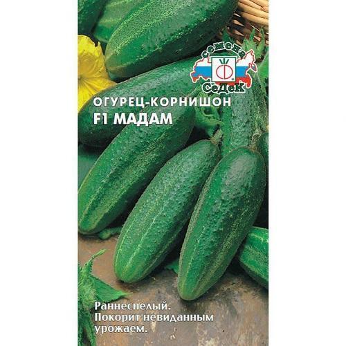 kurkku rouva