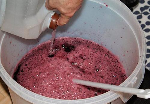 virran valmistus hillosta, vedestä, sokerista ja rusinoista