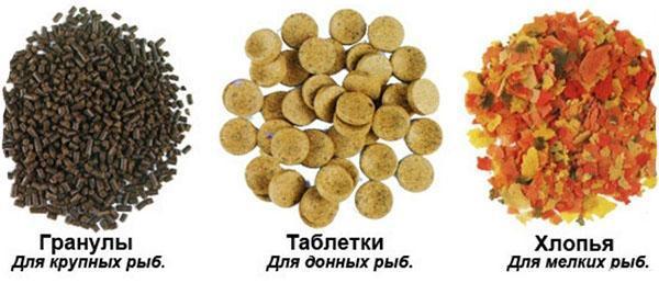 kuiva ruoka erityyppisille kaloille