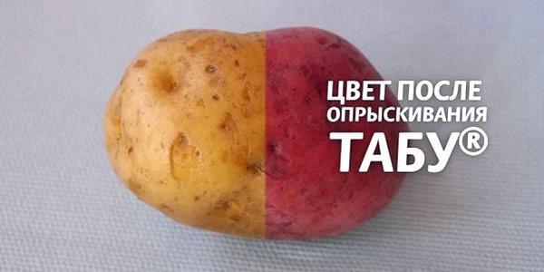 perunat ennen jalostusta ja sen jälkeen