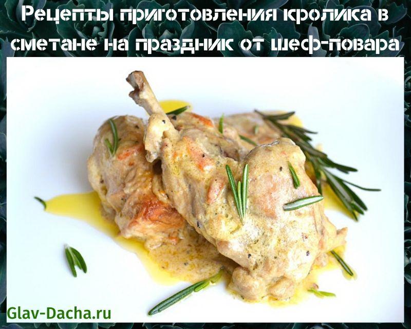kanin reseptit hapankermassa