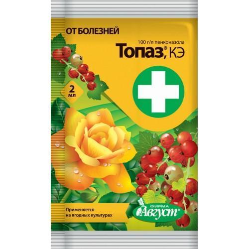 topaasi
